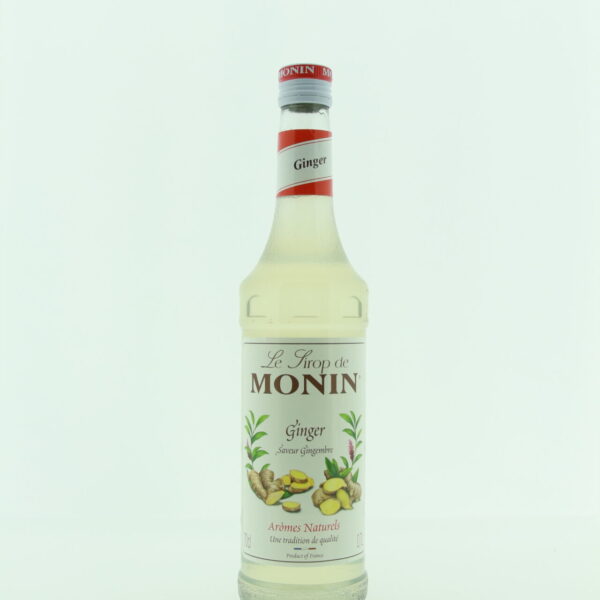 Monin Gember
