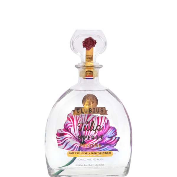 Clusius Tulip Spirit Prestige